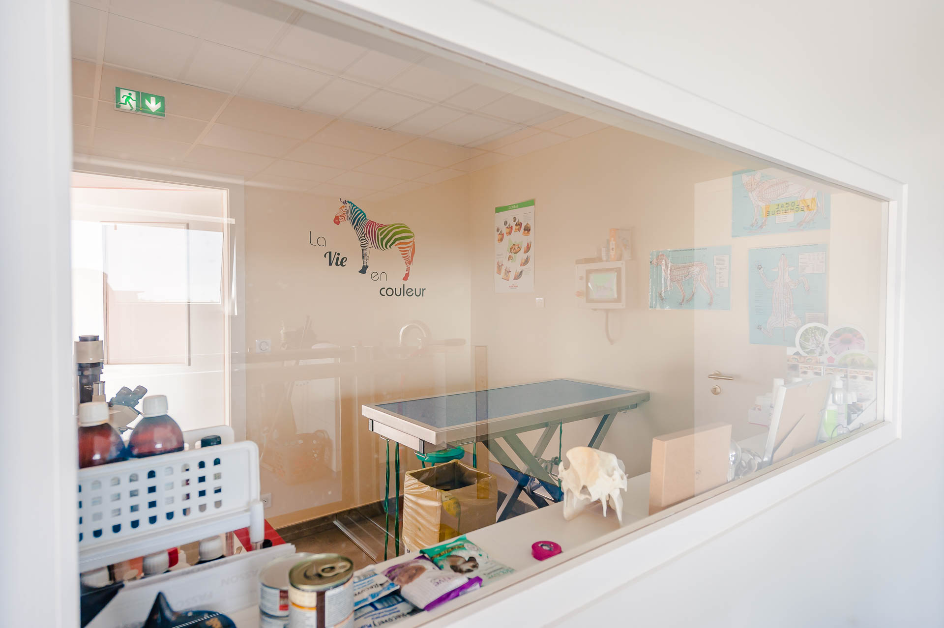 Veterinaire-Rehab (111)