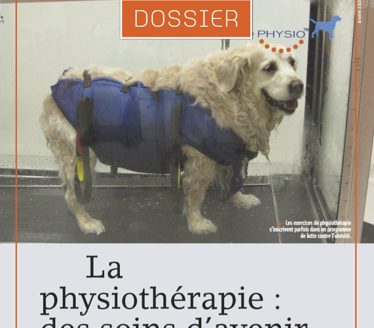 La physiothérapie : des soins d’avenir