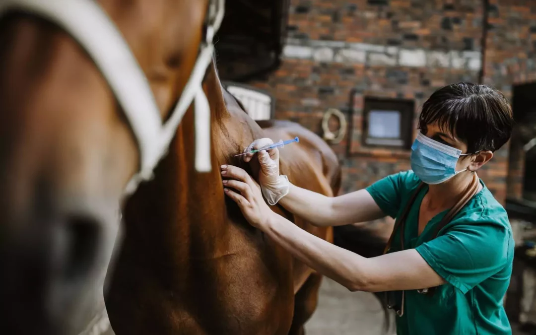 Soins vétérinaires Haut-Rhin
