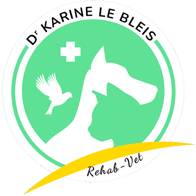 REHAB VET